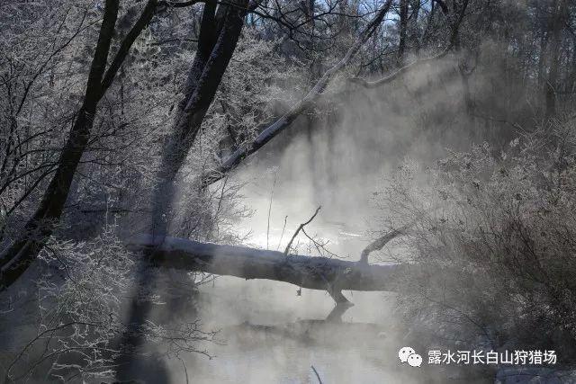 三天查获酒醉驾102起!平安春运,淄博交警展开集中整治