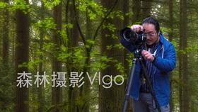 虫虫助手下载