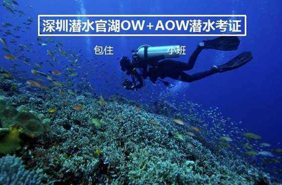 第一次看见她，给我留下了最深刻的映象，低了头害了羞，可是她有了男朋友，怎么办？游戏画面